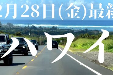 ハワイ最新【2月28日(金)】つい昨日の10名様どこでもツアー