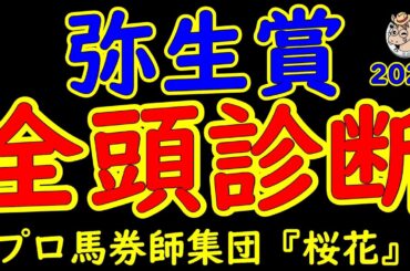 弥生賞2025一週前レース予想全頭診断！朝日杯２着のミュージアムマイルが出走！ホープフルステークス１７番人気３着のファウストラーゼンは実力か？フロックか？皐月賞2025へ優先出走権を手にするのは？