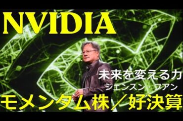 Lv103【米国株／モメンタム株・エヌビディア決算速報第３弾】ついに、絶好の買い場の暴落か！？（２０２５/２/２１～２/２８の間）２０２５/３/１時点