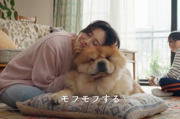 松嶋菜々子、釣りベスト姿やTシャツコーデでチャーミングな演技を披露　「アーモンド効果」の新CMキャラクターに就任