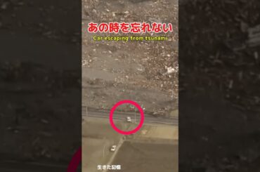 津波から逃げる車  Car escaping from tsunami