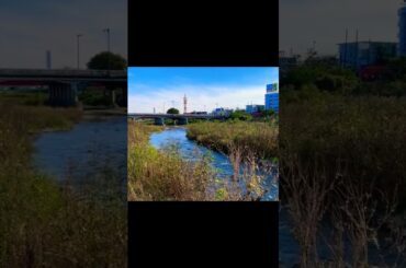 ⑩ 【台風7号直撃・浅川沿い注意】刑場の心霊スポット「大和田刑場跡」＋「大和田橋」【お盆Uターン、交通機関に影響】【熱中症、新型コロナ、変異株KP.3、ゲリラ豪雨、地震注意】（東京都 八王子市）