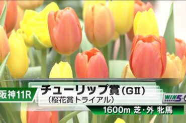 阪神11R 第32回チューリップ賞（GⅡ） 〈桜花賞トライアル〉