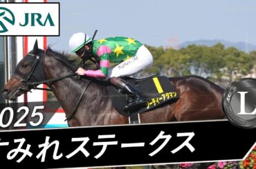 2025年 すみれステークス（L） | ジーティーアダマン | JRA公式