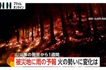 「待望の雨」大船渡の山火事が発生から丸1週間…38日ぶりの雨で火の勢いは？焼失面積は5日朝時点で“山手線内半分”に　岩手