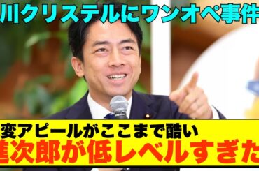 【庶民感覚完全崩壊💢】進次郎狼狽！滝川クリステル氏"ワンオペ育児"発言に批判殺到！シッター雇える立場で何を言う【政治AI解説・口コミ】