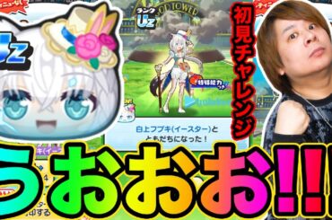 ぷにぷに「UZフブキイースターGETまで!!」今回のイベはおはじきも少し攻略しやすい!?【妖怪ウォッチぷにぷに】  Yo-kai Watch   part1738 とーまゲーム