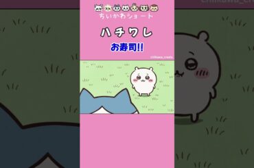 《ちいかわ》仲良くお寿司!! #ちいかわ  #chiikawa #アニメ #アニメちいかわ #ハチワレ #うさぎ # #お寿司