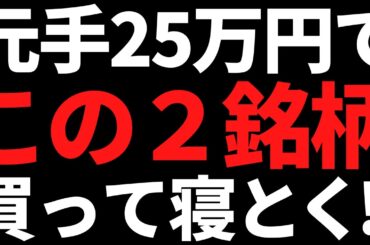 いま私が元手25万円で株を買うならこの２銘柄を選ぶ