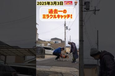 過去一のミラクルキャッチ！