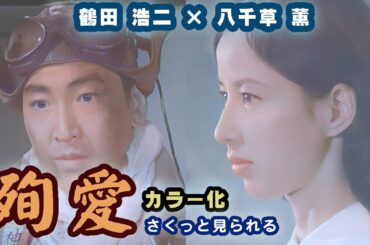 【AIカラー化】【八千草薫】「殉愛」さくっとまとめました！