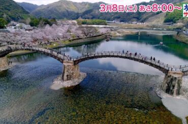 ロコレコ！は大友花恋！ゲストの旅は中井美穂！「旅サラダ」3月8日（土）放送