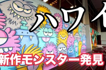 最新ハワイ【新作モンスター発見！】どこでもプライベートツアー