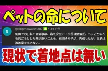 日航と石田ゆり子 ペットに関しての下らないゴタゴタについて