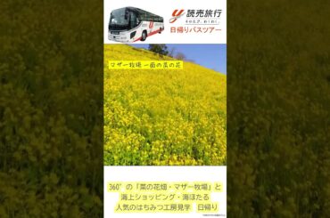 ＼おトクな日帰りバスツアー／読売旅行ならバスツアーを4,970円から楽しめちゃう