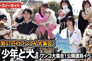【トークノーカット】高橋文哉、西野七瀬が総勢57匹のワンコにホッコリ!?『少年と犬』ワンコ大集合！ 公開直前イベント