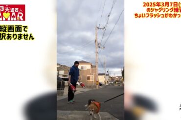 フラッシュがわかってきたかも？