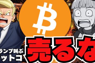 【🔥新たな希望】米国はビットコインをこれで増やす？急げトランプ／Solana、XRP、ETHが本当に厳しい。。／新たな注目ミームコインが登場！
