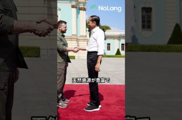 「インドネシア、BRICSに正式加盟！新興国経済連合の未来を探る」#shorts