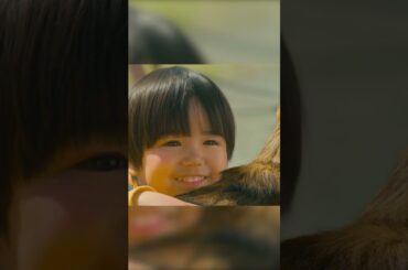 映画『少年と犬』WEBCM 多聞篇【3月20日(木・祝)公開】