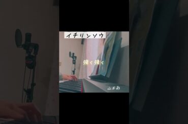 山本彩「イチリンソウ」弾き語りしてみた。#shorts #ssw #シンガーソングライター　#弾き語り女子　#cover #おすすめ　#毎日投稿　#山本彩　#イチリンソウ#アイフルホーム