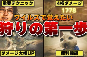 【モンハンワイルズ】初心者向け！戦闘が上手くなる序盤から知っておきたい21個の基礎攻略を解説します！【モンスターハンターワイルズ / Monster Hunter Wilds】