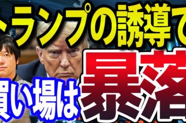 【これは陰謀か？】トランプの誘導で暴落する米国株！NYダウ・NASDAQ・日本株の買い場はどこ？
