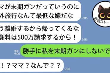 【LINE】海外旅行中に旦那から離婚宣言「ガンの姑を見舞いもせず旅行かよ！」→予想外のいちゃもんをつけてきたのである人と一緒に反撃してみたらｗ