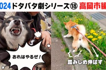 2024狂犬病予防注射会場のドタバタ劇⑱ 高岡市編