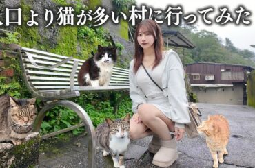 人口より猫が多い村に行ってみたら、想像以上に猫だらけすぎた...