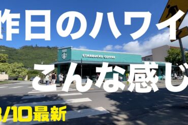 ハワイ最新【3/10(月)】ハワイ大学でお買い物〜どこでもプライベートツアー
