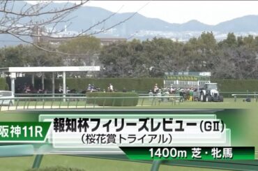 阪神11R 第59回報知杯フィリーズレビュー（GⅡ） 〈桜花賞トライアル〉