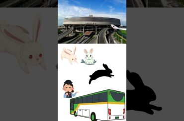 本当に会ったこんな外国人＃フランス＃ツアー