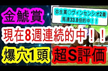 【競馬予想】金鯱賞2025　週末の雨予報で道悪ならばデシエルト　プログノーシスらを倒せるのはこの穴馬！！