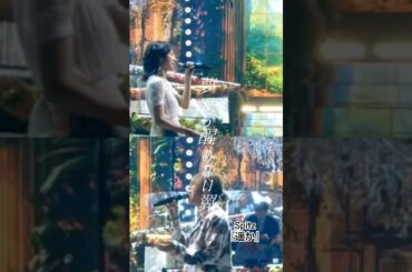 楽しそう❤️　#歌詞動画 #満島ひかり #渋谷龍太