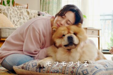 松嶋菜々子、モフモフしたりよく笑ったり…素顔全開！江崎グリコ CM＋メイキング