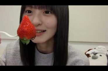 遠藤さくら（乃木坂46） 2025年02月19日 のぎおび SHOWROOM【音量UP】