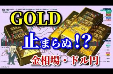 【金相場】【ドル円】何があろうと金は強い！？【NYダウ】【日経225】