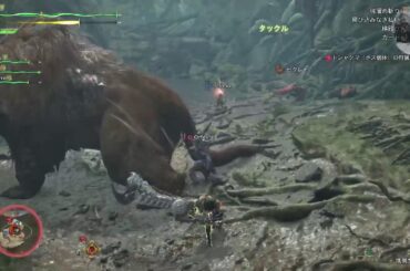 【モンハン】狩りるれろ#初見歓迎#本田翼大歓迎#クリーンな配信者#顔出しVtuber