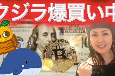 アルトコインシーズン復活の可能性 XRP訴訟は終わりに近づいている