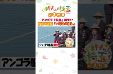 【予告】#アンゴラ村長 #埼玉観光 #和舟 #歌 #桜 #お花見 #遊覧船 #渡し舟 #新河岸川 #志木市 #松井咲子 #小堺翔太 #岡本寛志 #いまたま #埼玉県 #埼玉 #shorts