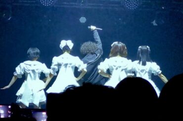 【LIVE映像】Will you marry me ?/清 竜人25 (REUNION TOUR「THE FINAL」 2024/11/14) #清竜人25