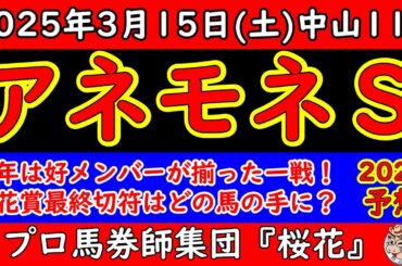 アネモネステークス2025レース予想！桜花賞への最終便は２枚の優先出走権を賭けての争い！素質馬プリムツァールやアルメントフーベルにキャリア豊富なピコローズなど面白い馬が揃った！