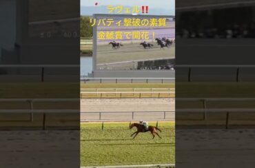 ラヴェルの覚醒‼️二歳時にリバティアイランド撃破の実力！金鯱賞で才能開花へ！【チャレンジC2024】【金鯱賞】【競馬現地映像】