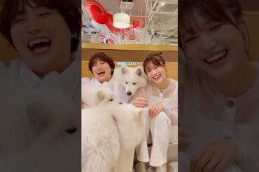 #丸山礼 と #生見愛瑠 🐶