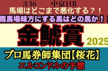 エルコンドル氏の金鯱賞2025予想！！土曜とはガラッと変わり雨模様！馬場状態が鍵に！雨馬場巧者の伏兵馬にも注意！？