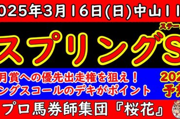 スプリングステークス2025レース予想！皐月賞トライアルも12頭立てと寂しいがキングスコールの復帰戦！ピコチャンブラックの巻き返しも期待が大きく楽しみな一戦！
