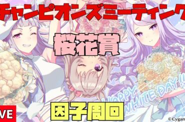 【週6配信やってみる】桜花賞チャンミ因子周回【ウマ娘】