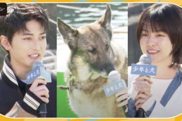西野七瀬、犬の“さくら”から嫉妬？「同姓だったから？」と“初対面”振り返る　映画「少年と犬」公開直前イベント