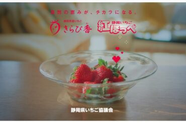 「静岡いちご」2025テレビCM（30秒ver)